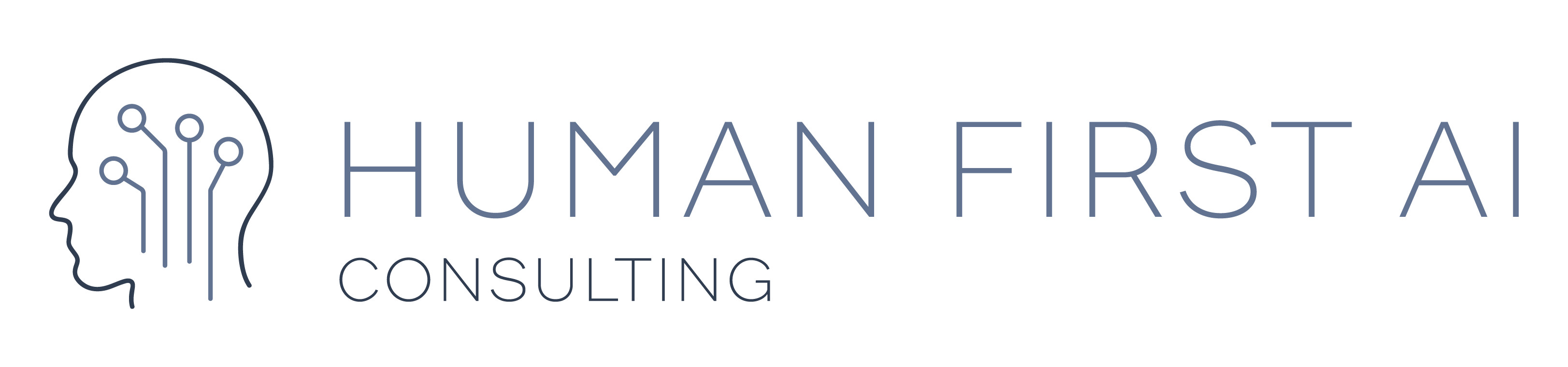 Human First AI Consulting